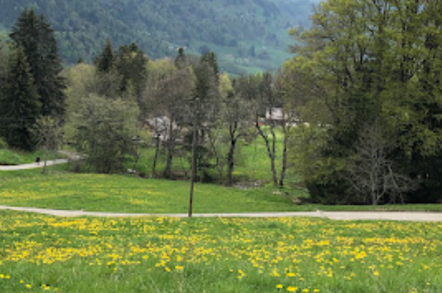 Découvrir la nature à Blonay : Randonnées et activités de plein air
